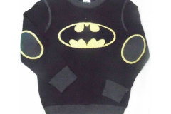 PIONEER KNITWEARS (BD) LTD